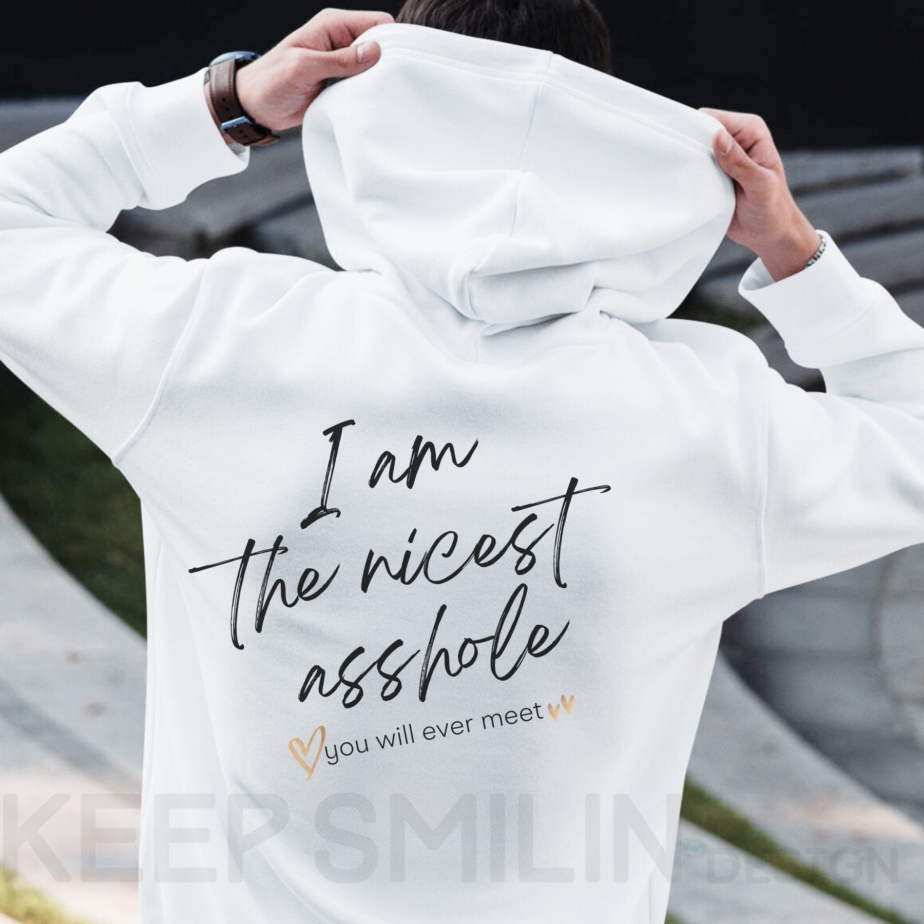I am the nicest asshole you will ever meet. Delux Hooded Sweatshirt, Gift For Crabby Tantrum, Adult Humor Tee, Potty Mouth Shirt, Unisex