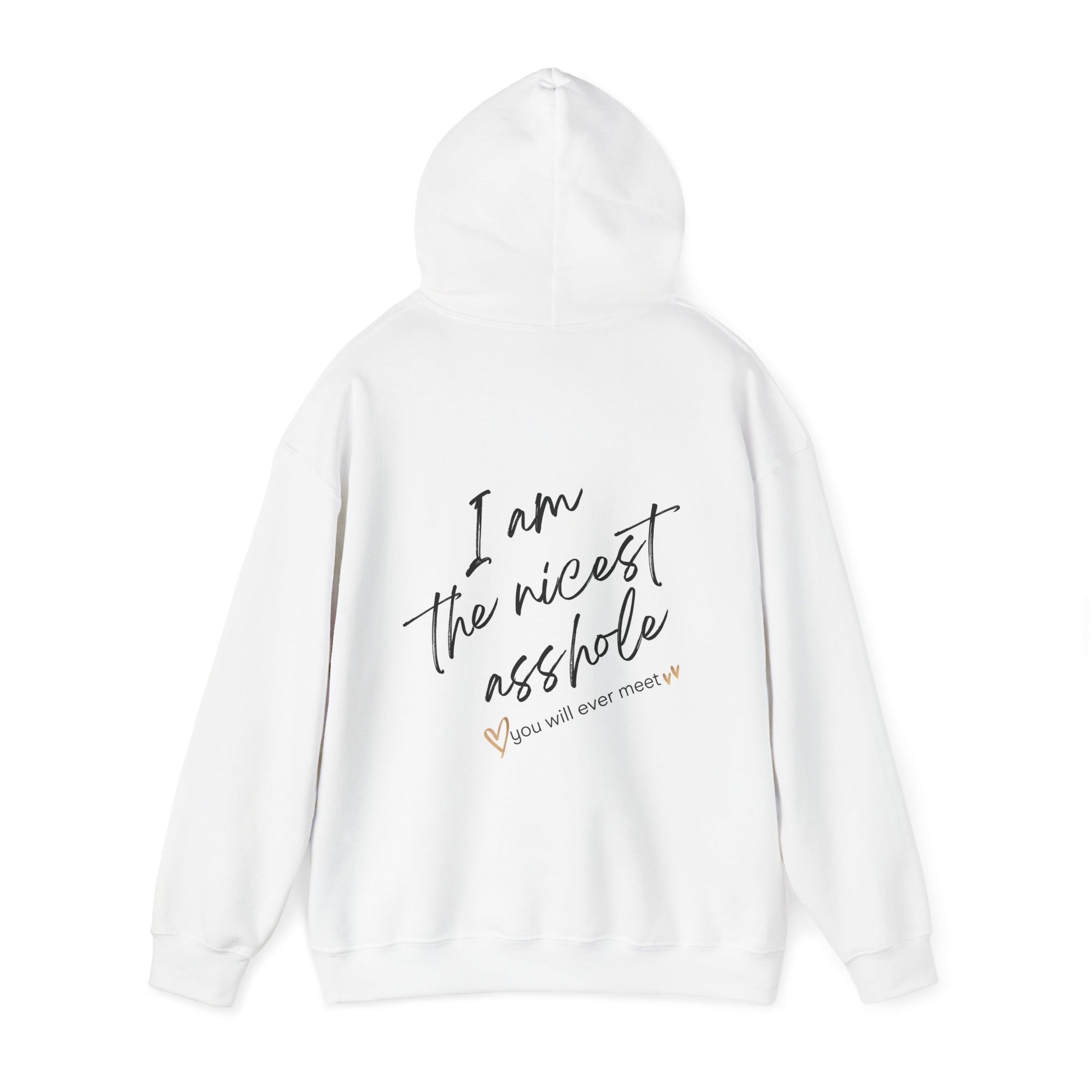 I am the nicest asshole you will ever meet. Delux Hooded Sweatshirt, Gift For Crabby Tantrum, Adult Humor Tee, Potty Mouth Shirt, Unisex