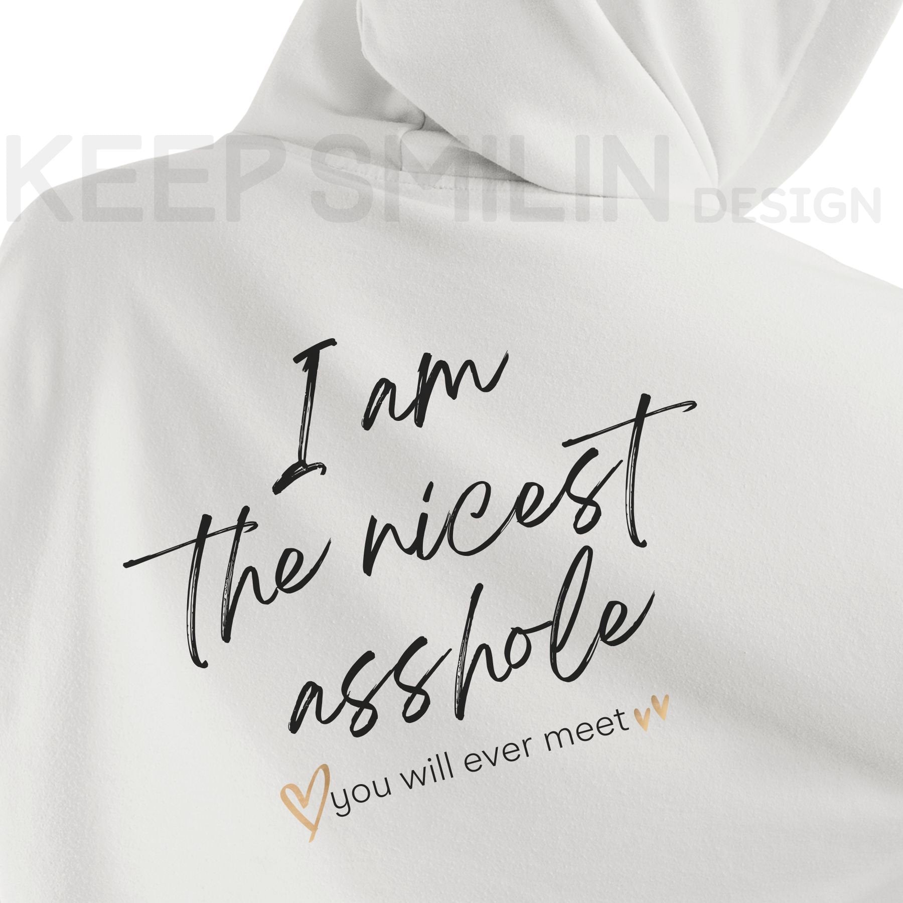 I am the nicest asshole you will ever meet. Delux Hooded Sweatshirt, Gift For Crabby Tantrum, Adult Humor Tee, Potty Mouth Shirt, Unisex