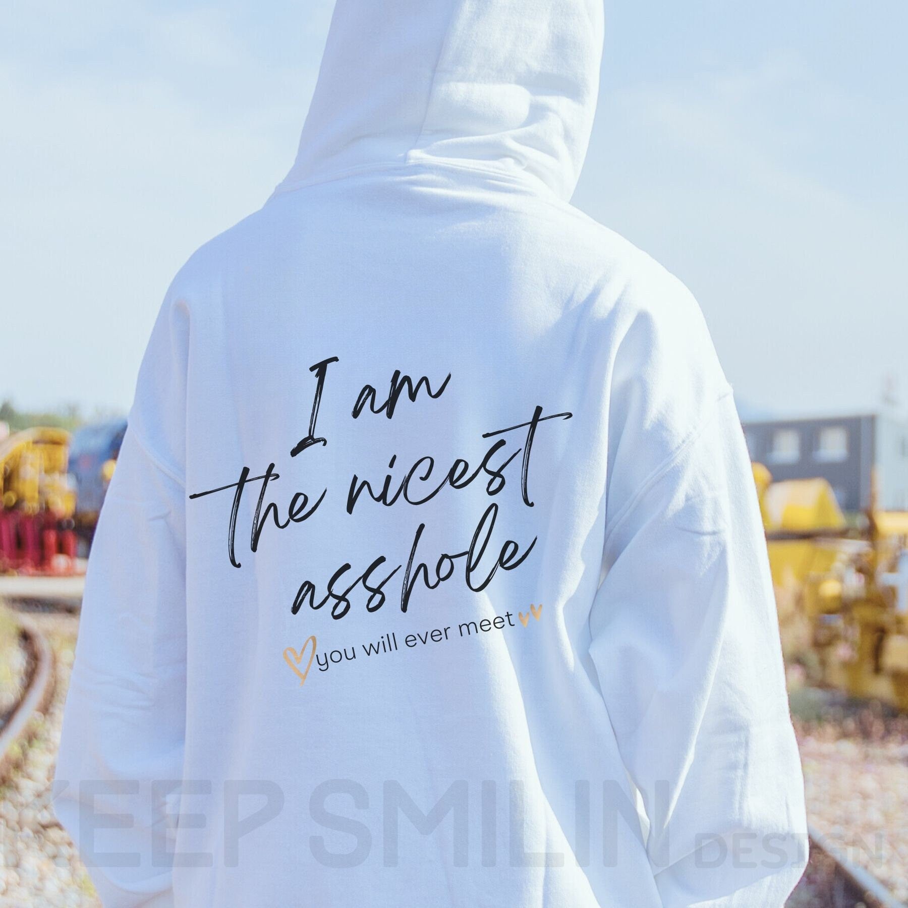 I am the nicest asshole you will ever meet. Delux Hooded Sweatshirt, Gift For Crabby Tantrum, Adult Humor Tee, Potty Mouth Shirt, Unisex