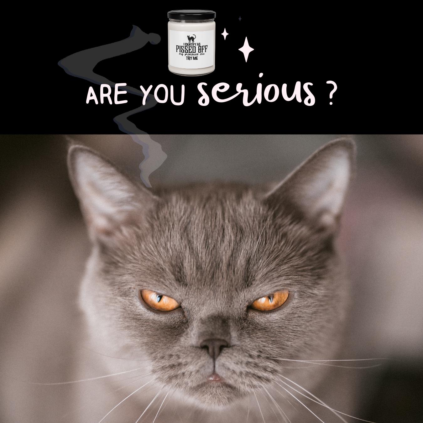 Pissed Off Scented Soy Candle, Try Me Candle, 9oz, Fall Candle Gift, Funny Candle, Candle Pronouns, Halloween Candle, Humorous Gift, Unisex