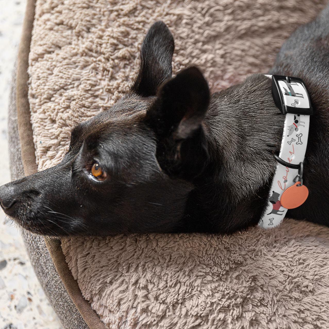 Dog Collar, Veterinarian Nurse Lover Pet Accessory, Animal Care Gift, Dog Lover Present, Vet Tech Neckwear, Animal Clinic Badge Holder