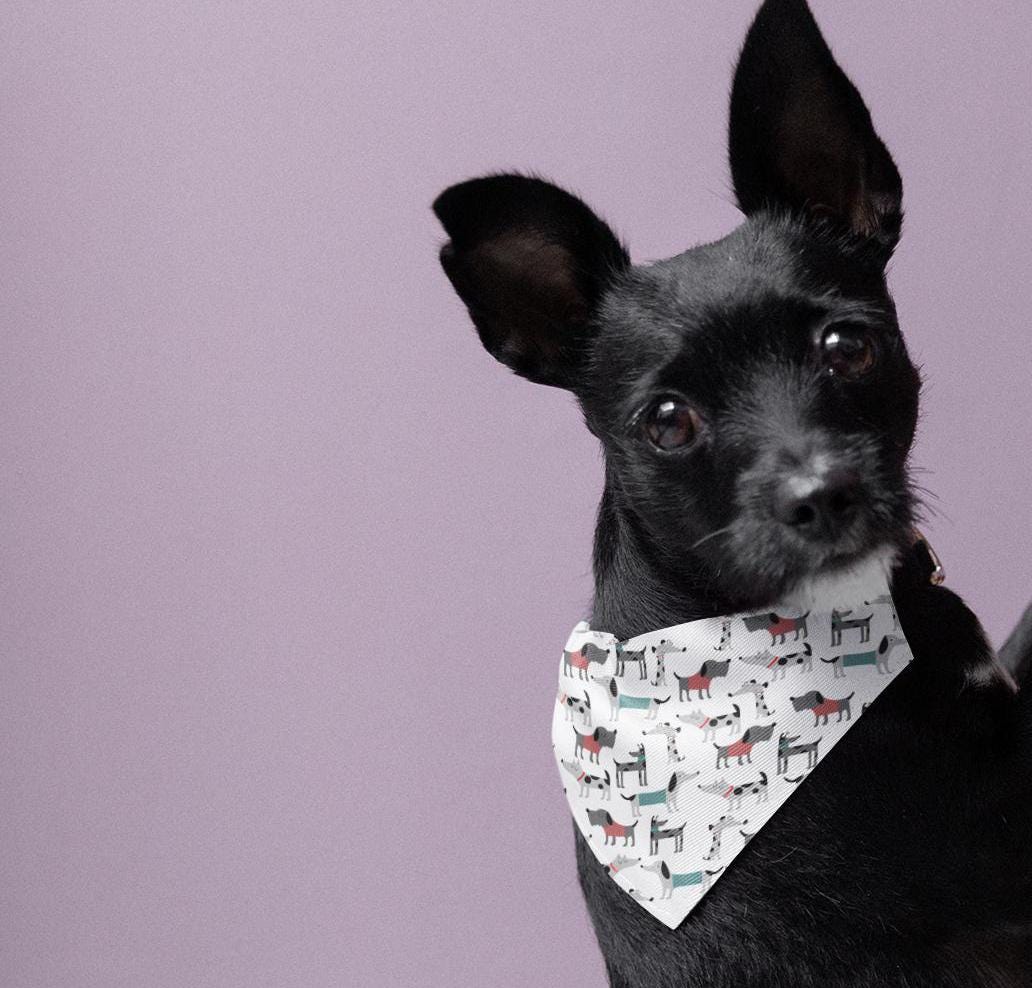 Dog Collar Bandana Print Pet Bandana Collar - Puppy Bandana, Dog Bandana Collar, Gift Pet Neckerchief, Animal Print Bandana, Dog Lover Gift