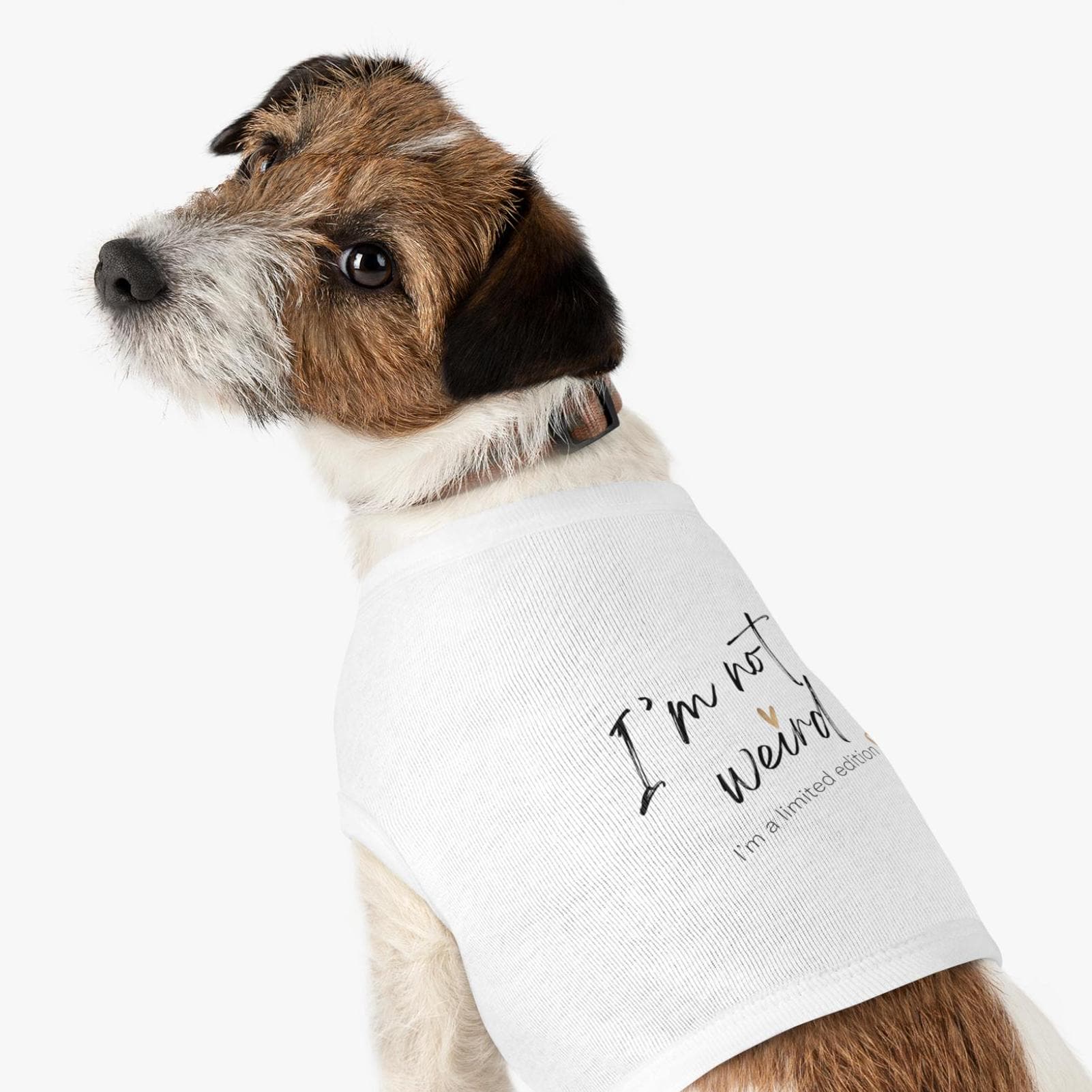 Limited Edition Dog Tank Top, Funny Pet Shirt, Dog Lover Gift,Cute Doggie Tee, Quirky Animal Apparel, pet matching shirt, Dog lover gift
