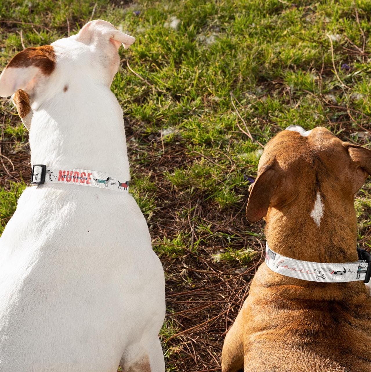 Dog Collar, Veterinarian Nurse Lover Pet Accessory, Animal Care Gift, Dog Lover Present, Vet Tech Neckwear, Animal Clinic Badge Holder