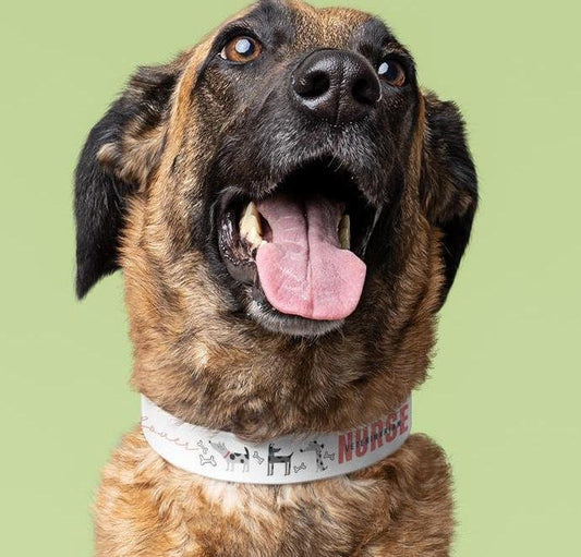 Dog Collar, Veterinarian Nurse Lover Pet Accessory, Animal Care Gift, Dog Lover Present, Vet Tech Neckwear, Animal Clinic Badge Holder