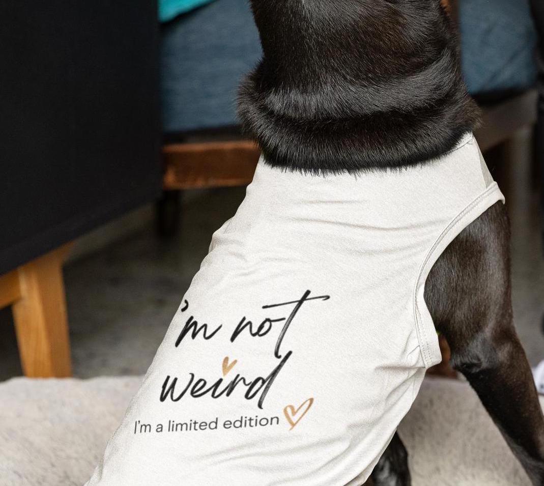 Limited Edition Dog Tank Top, Funny Pet Shirt, Dog Lover Gift,Cute Doggie Tee, Quirky Animal Apparel, pet matching shirt, Dog lover gift