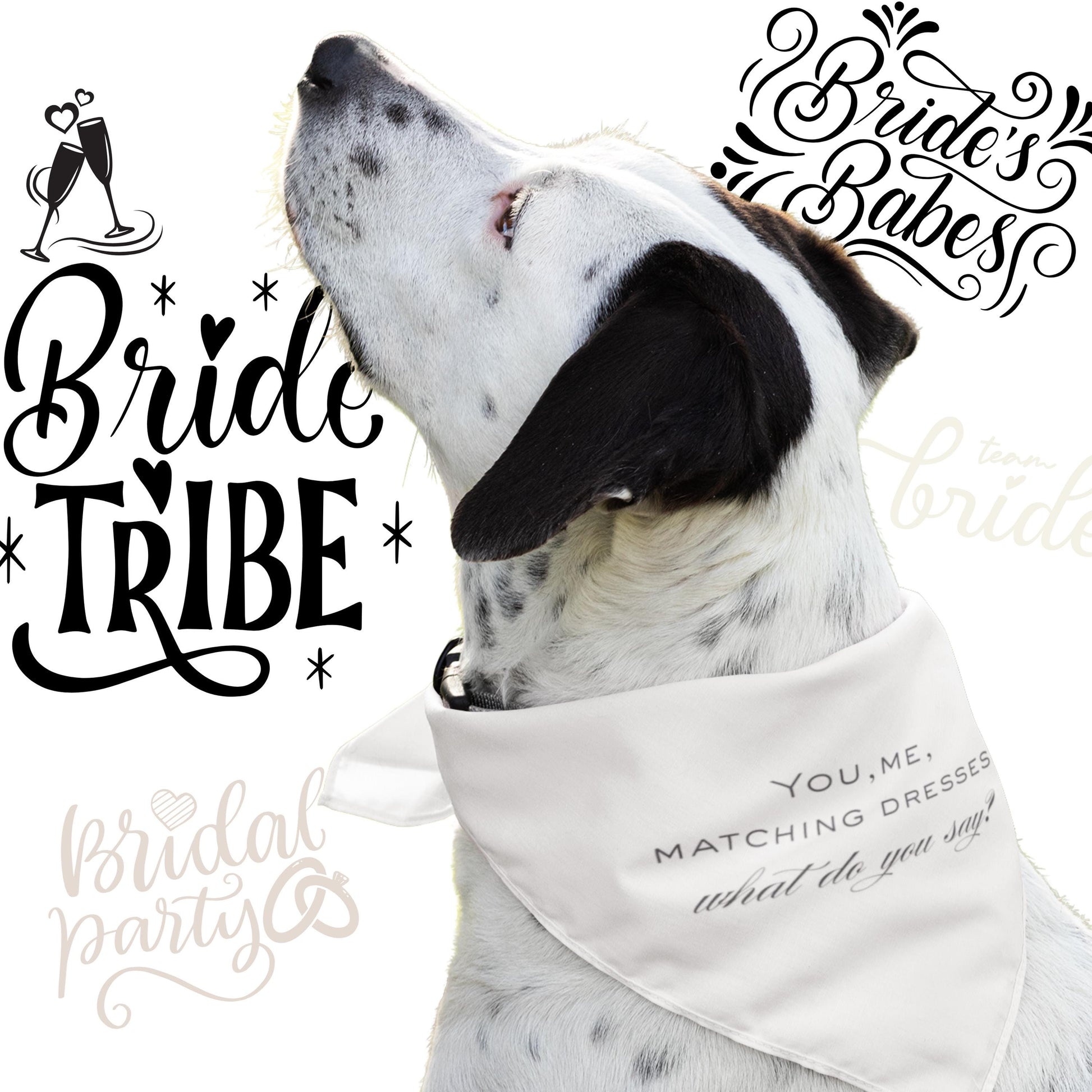 Pet Bridesmaid Proposal Shirt – “You, Me, Matching Dresses” | Custom Dog Wedding Shirt | Funny Bridesmaid Ask | Bridal Party Reveal Idea