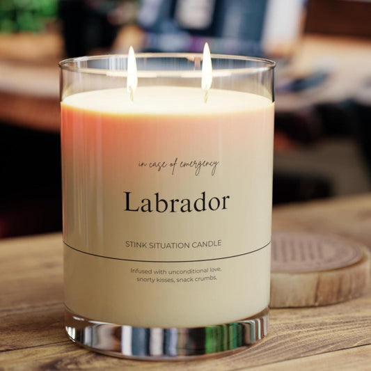 LABRADOR Funny Candle, Soy Candle 11oz Glass,New Pet Parent Gift, Frenchie Dog Mom Dad Birthday Gift for Dog Lover