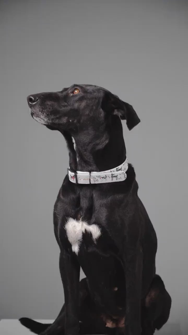 Dog Collar, Veterinarian Nurse Lover Pet Accessory, Animal Care Gift, Dog Lover Present, Vet Tech Neckwear, Animal Clinic Badge Holder