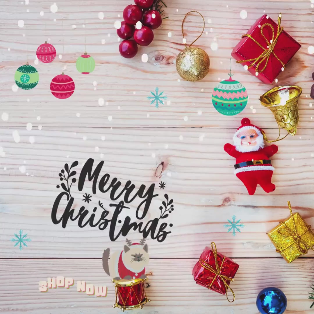 Merry Christmas Family Matching Sweatshirt, Holiday Crewneck Shirt, Xmas Gift, Winter Pullover, Festive Top, Modern Holiday Top, Basic Xmas