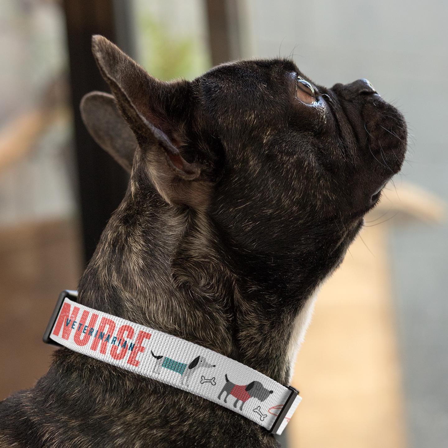 Dog Collar, Veterinarian Nurse Lover Pet Accessory, Animal Care Gift, Dog Lover Present, Vet Tech Neckwear, Animal Clinic Badge Holder