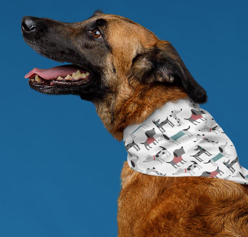 Dog Collar Bandana Print Pet Bandana Collar - Puppy Bandana, Dog Bandana Collar, Gift Pet Neckerchief, Animal Print Bandana, Dog Lover Gift