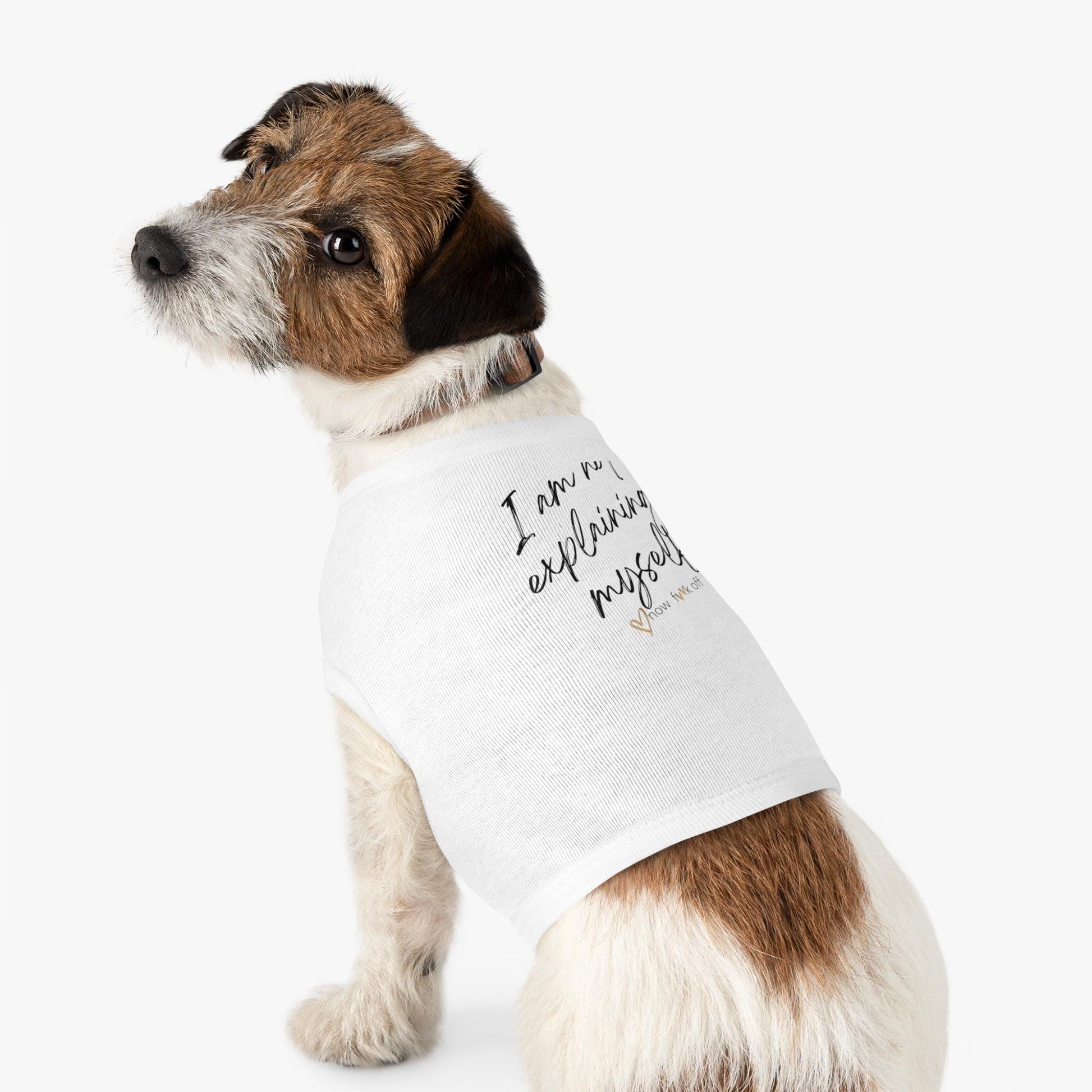 Limited Edition Dog Tank Top, Funny Pet Shirt, Dog Lover Gift,Cute Doggie Tee, Quirky Animal Apparel, pet matching shirt, Dog lover gift