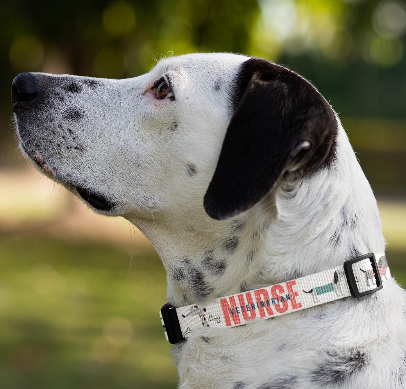 Dog Collar, Veterinarian Nurse Lover Pet Accessory, Animal Care Gift, Dog Lover Present, Vet Tech Neckwear, Animal Clinic Badge Holder