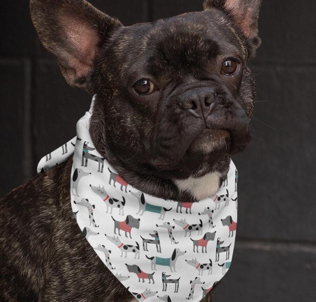 Dog Collar Bandana Print Pet Bandana Collar - Puppy Bandana, Dog Bandana Collar, Gift Pet Neckerchief, Animal Print Bandana, Dog Lover Gift