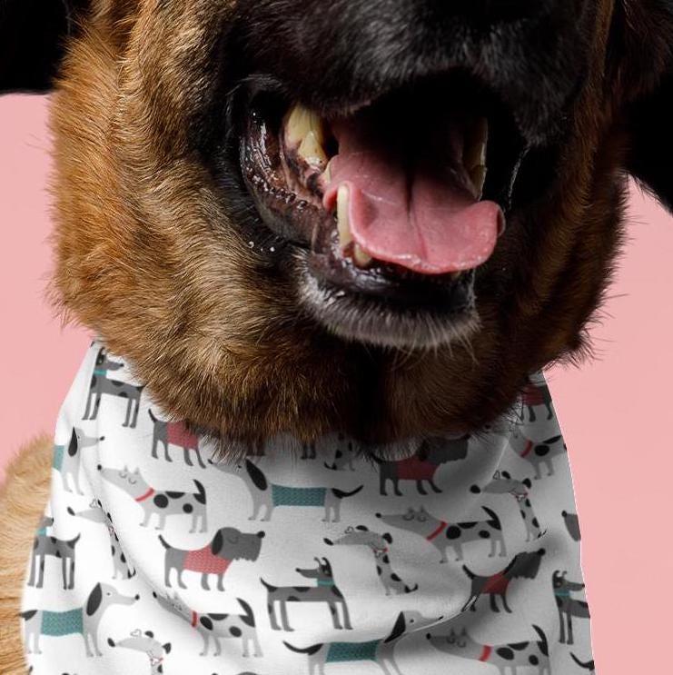 Dog Collar Bandana Print Pet Bandana Collar - Puppy Bandana, Dog Bandana Collar, Gift Pet Neckerchief, Animal Print Bandana, Dog Lover Gift