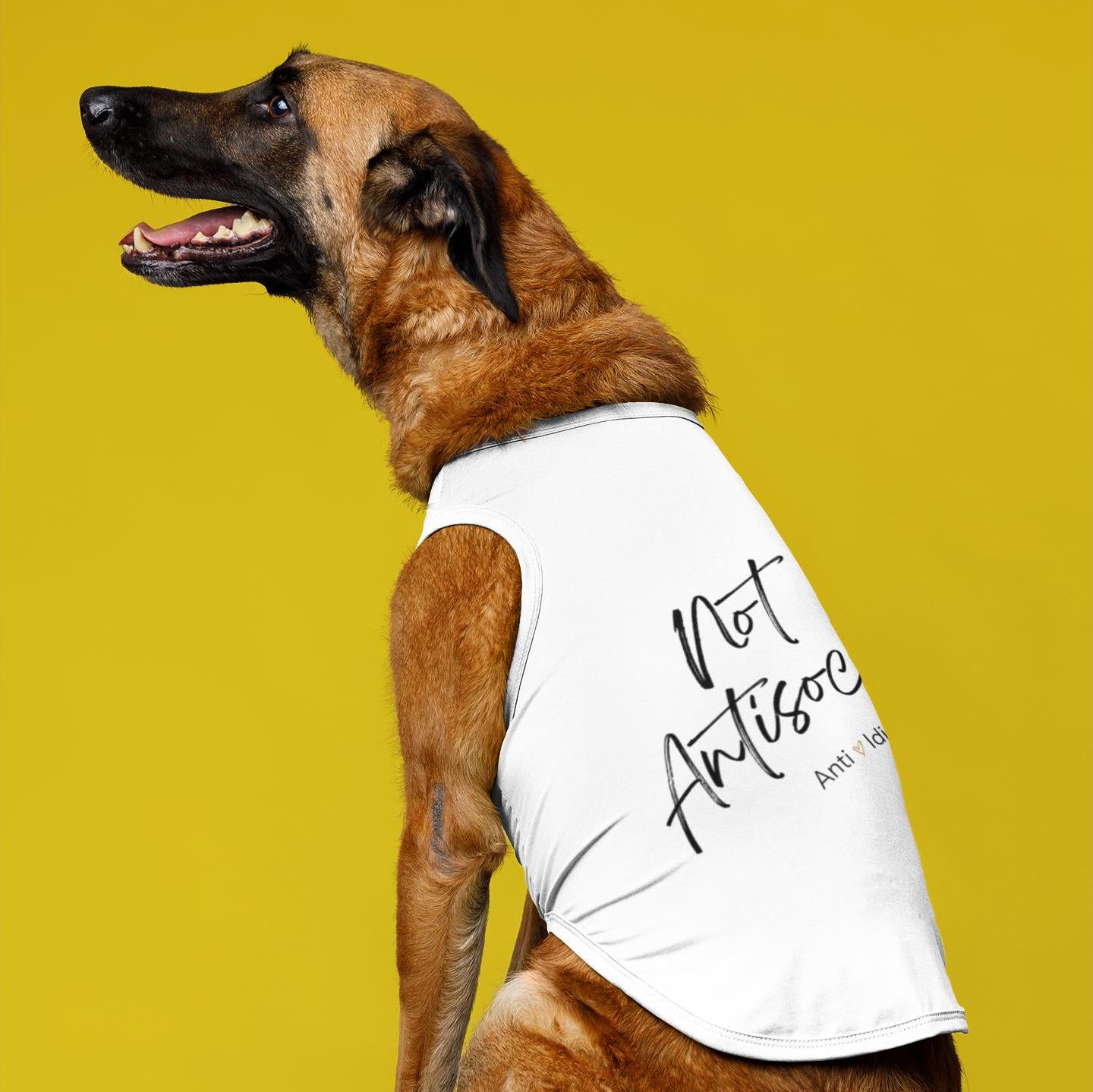 Dog Tank Top, Funny Pet Shirt, Not Antisocial-anti idiot,Dog Lover Gift,Cute Doggie Tee, Quirky Animal Apparel, pet matching shirt,Gift Dog