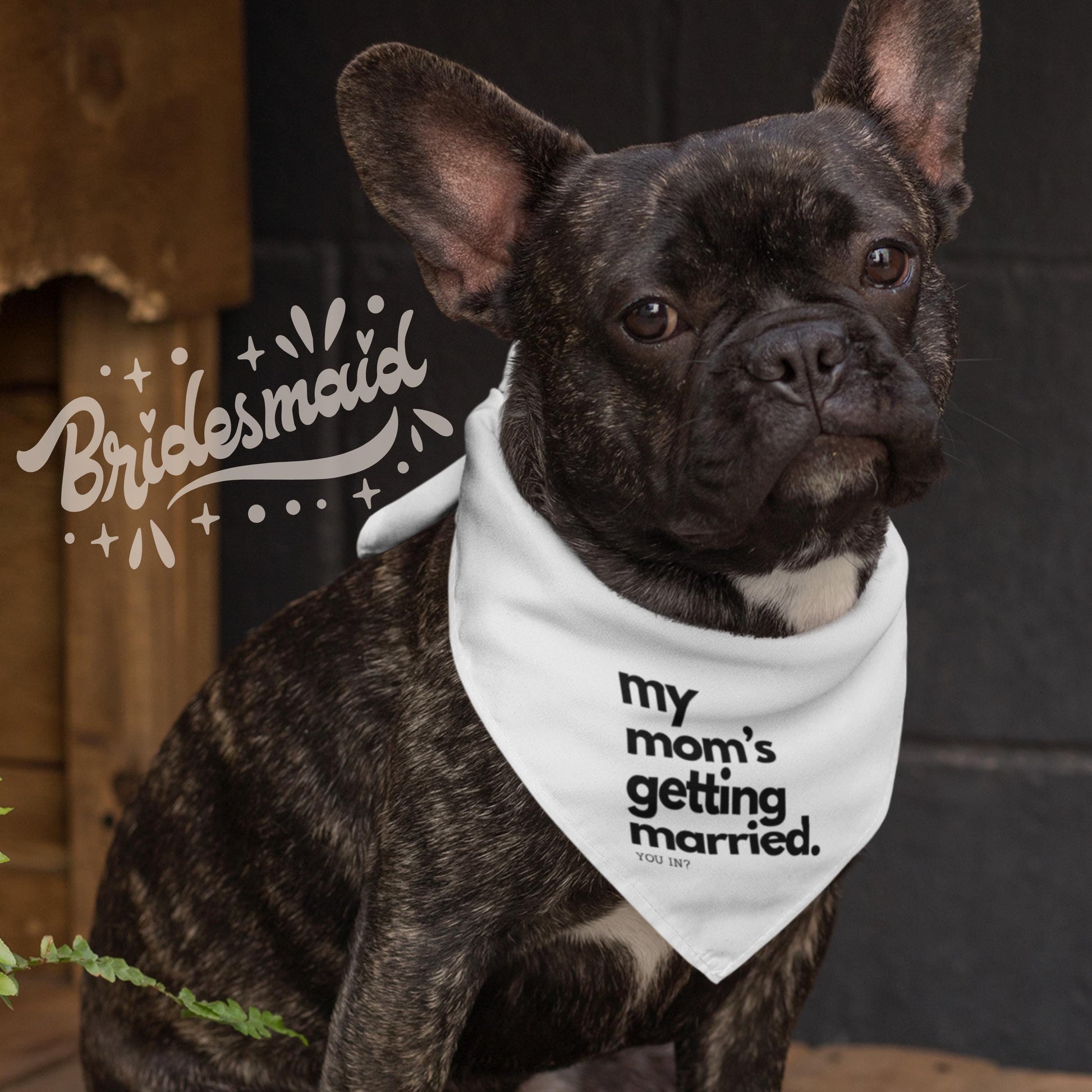 Pet Bridesmaid Proposal Shirt–“My Mom's Getting Married-You In”|Custom Dog Wedding Shirt | Funny Bridesmaid Ask | Bridal Party Reveal Idea