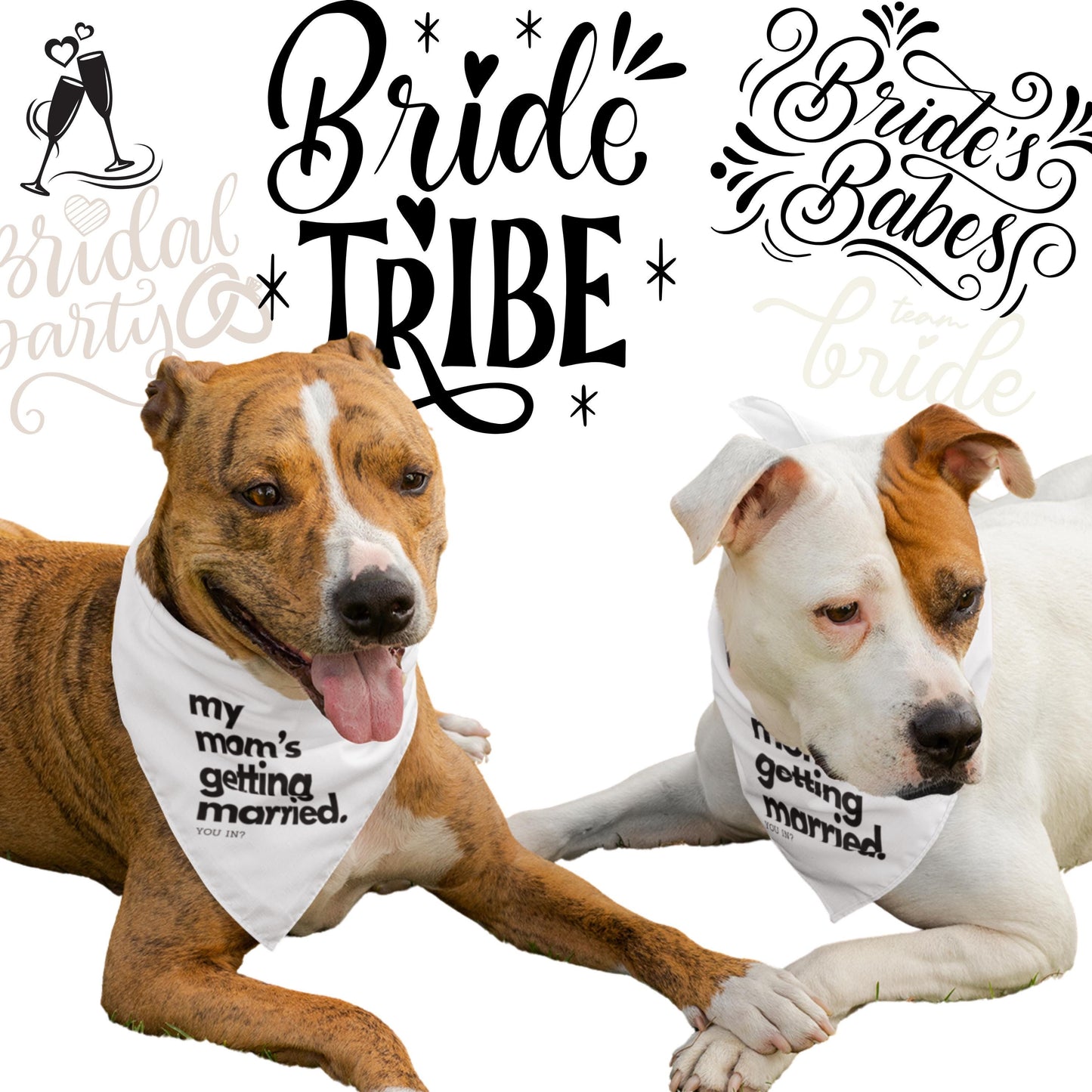 Pet Bridesmaid Proposal Shirt–“My Mom's Getting Married-You In”|Custom Dog Wedding Shirt | Funny Bridesmaid Ask | Bridal Party Reveal Idea