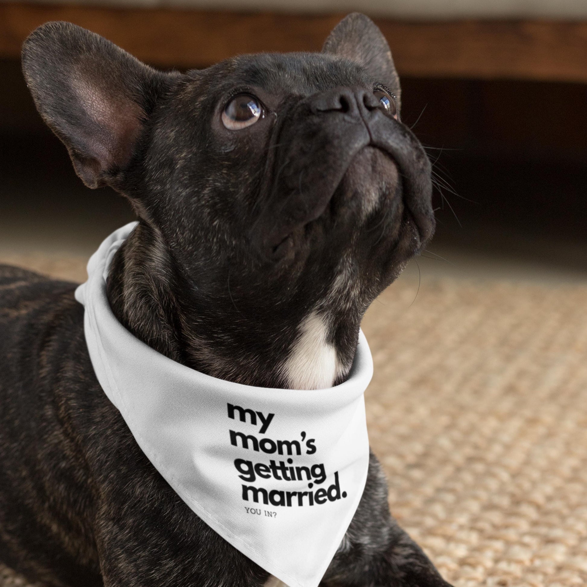 Pet Bridesmaid Proposal Shirt–“My Mom's Getting Married-You In”|Custom Dog Wedding Shirt | Funny Bridesmaid Ask | Bridal Party Reveal Idea