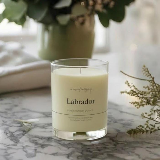 LABRADOR Funny Candle, Soy Candle 11oz Glass,New Pet Parent Gift, Frenchie Dog Mom Dad Birthday Gift for Dog Lover