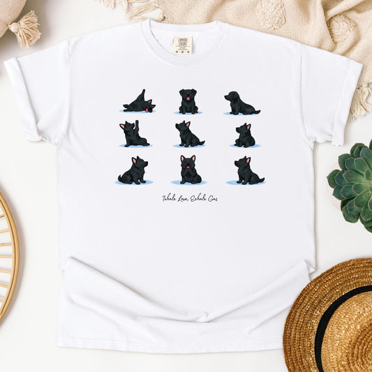 Black Labrador Yoga Poses T-Shirt, Lab Illustration Tee, Yoga Teacher Gift, Yoga Shirt, Gift for Yoga Dog Lover, Graduation Gift, Labrador