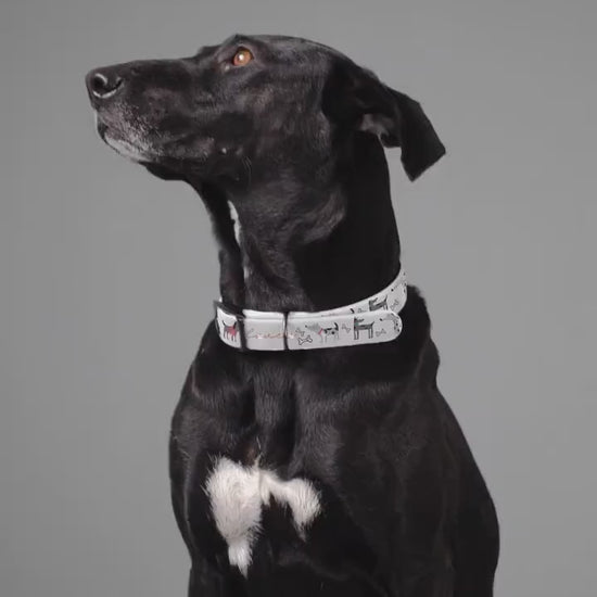 Dog Collar, Veterinarian Nurse Lover Pet Accessory, Animal Care Gift, Dog Lover Present, Vet Tech Neckwear, Animal Clinic Badge Holder